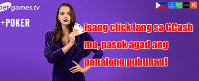 013 promotional banner
